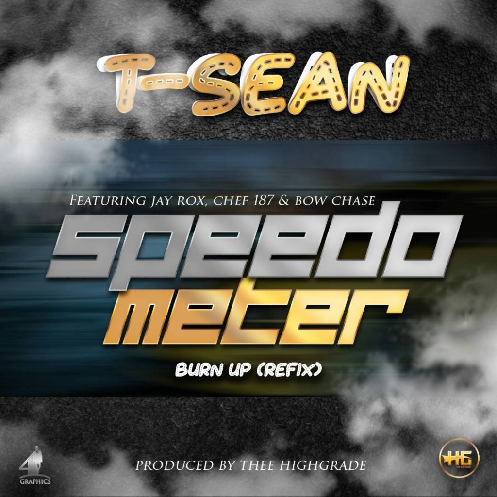 T sean speedmoter burn up