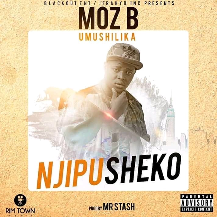 Moz B Njipusheko