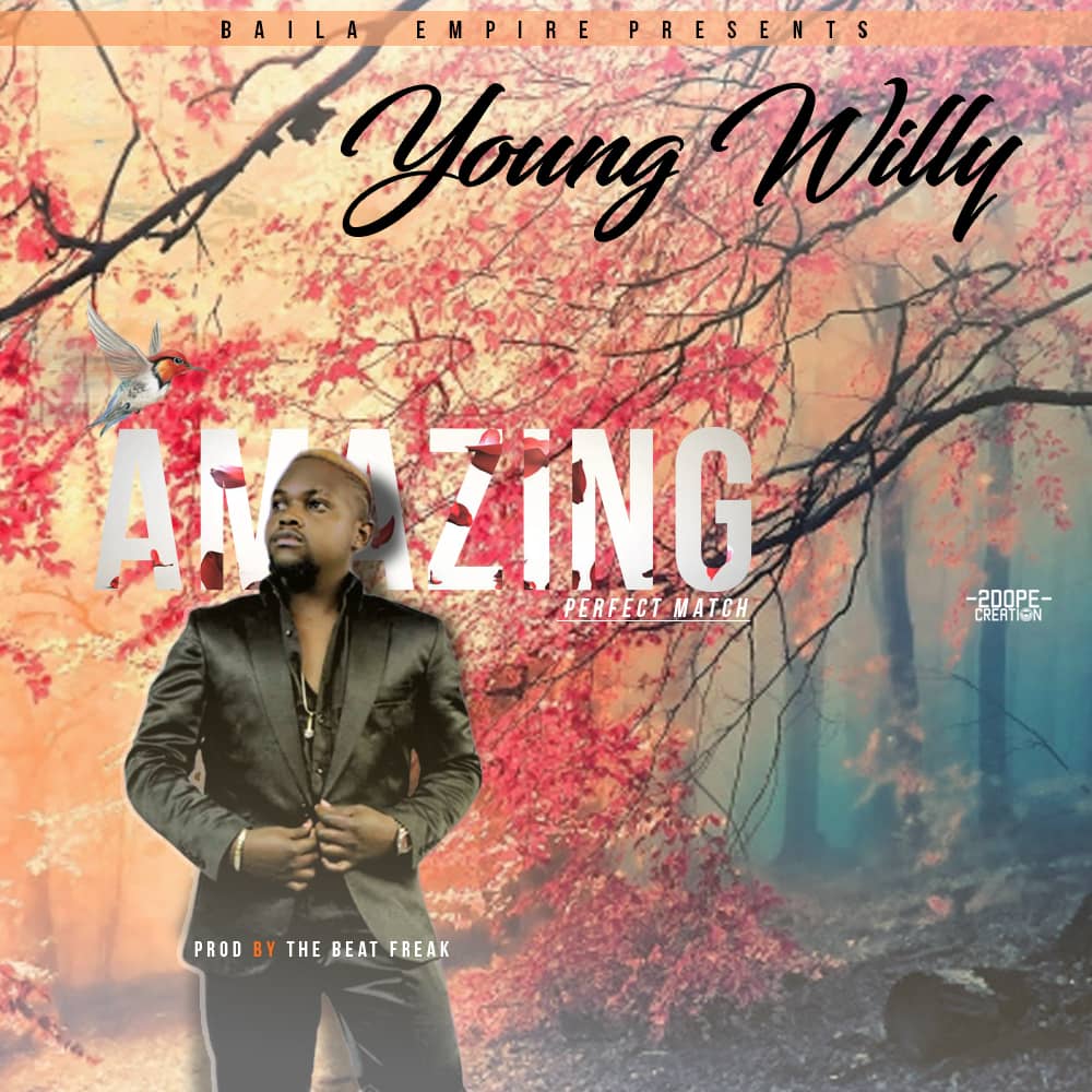 Young Willy Amazing