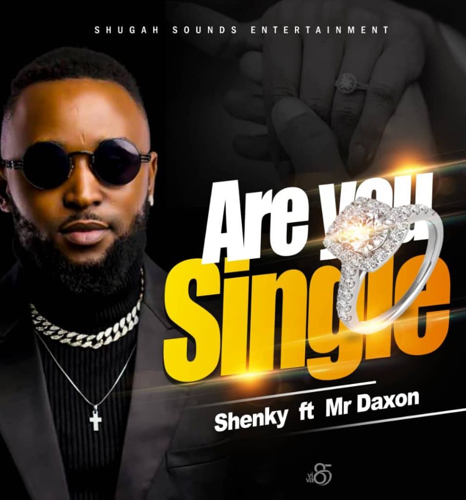 Shenky Ft. Mr Daxon – Are You Single