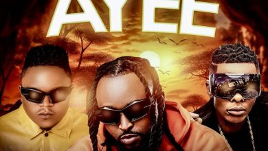 Shenky, Jose Chameleon & D Bwoy Telem‬ - Ayee