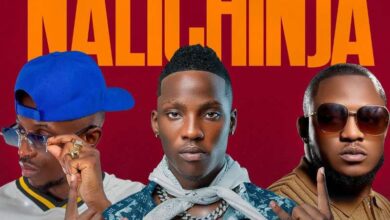 Blood Kid Yvok Ft. Chef 187 & Dizmo - Nalichinja